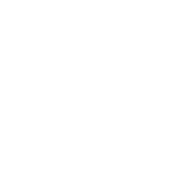 logo-WYA-white